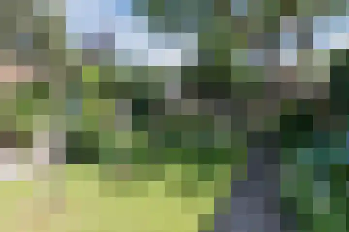 Hoefblad 44 Hapert thumbnail 37