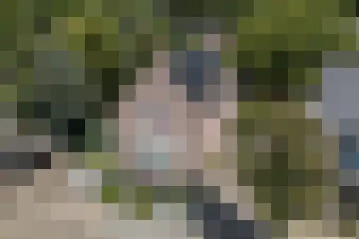 Hoefblad 44 Hapert thumbnail 48
