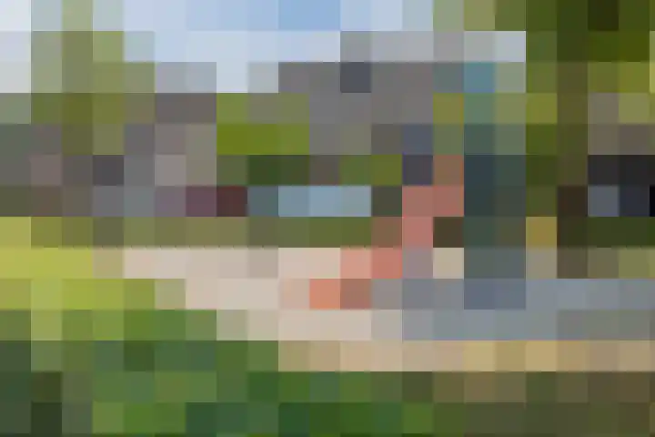 Hoefblad 44 Hapert thumbnail 52