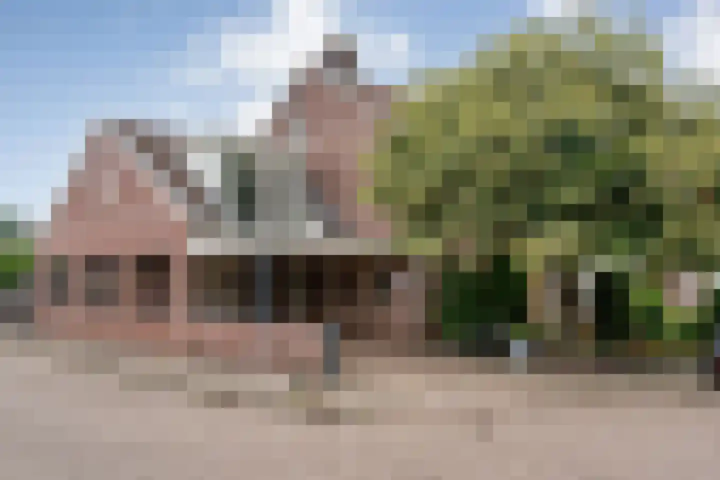 Hoefblad 44 Nieuwleusen