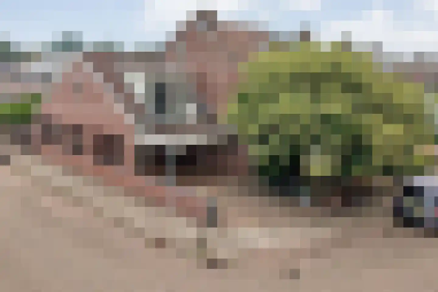 Hoefblad 44 Nieuwleusen thumbnail 4