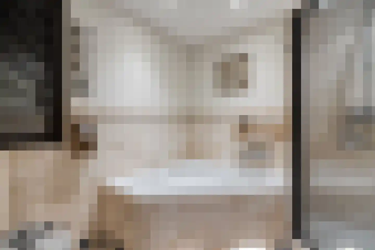 Hoefblad 44 Nieuwleusen thumbnail 40