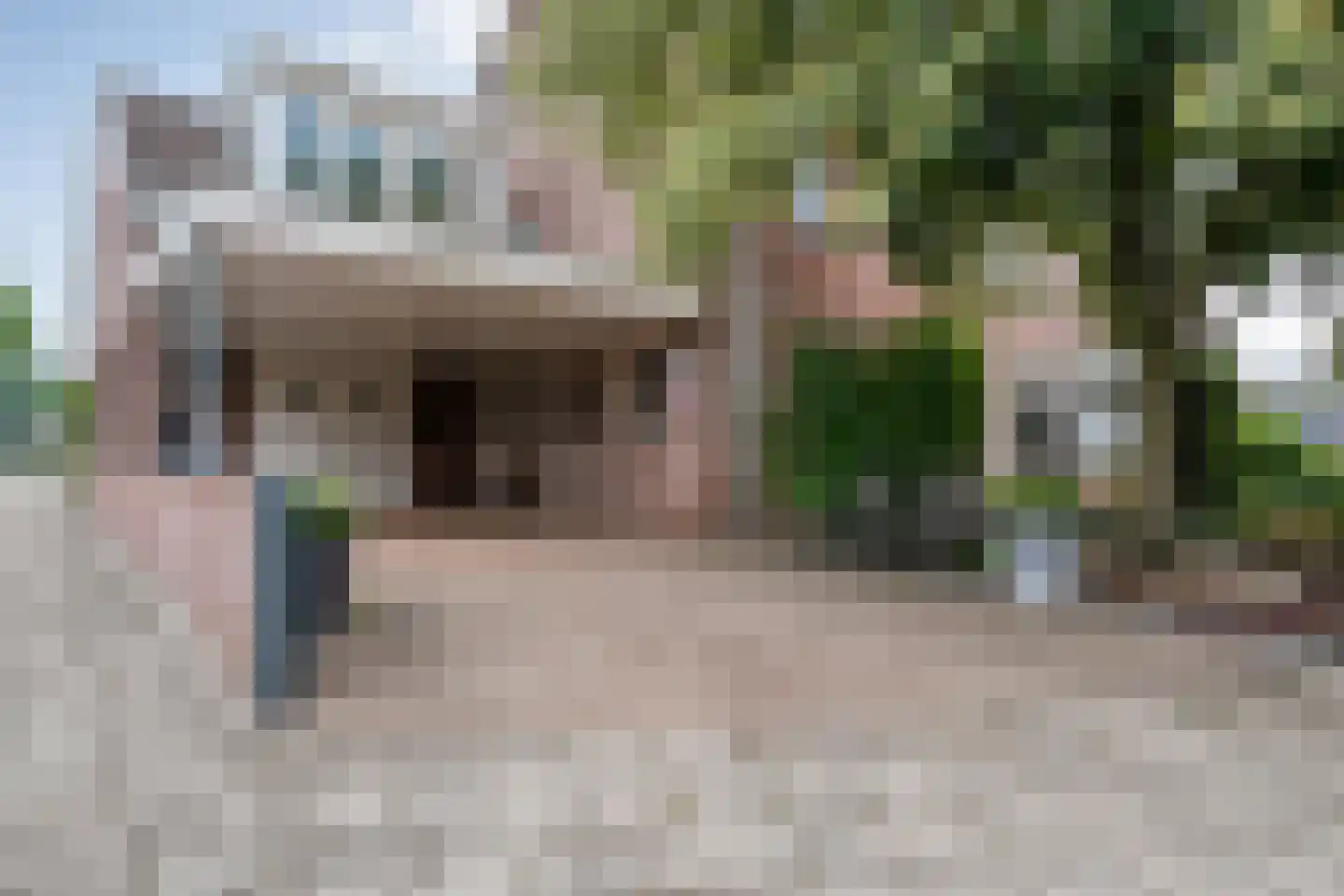 Hoefblad 44 Nieuwleusen thumbnail 5