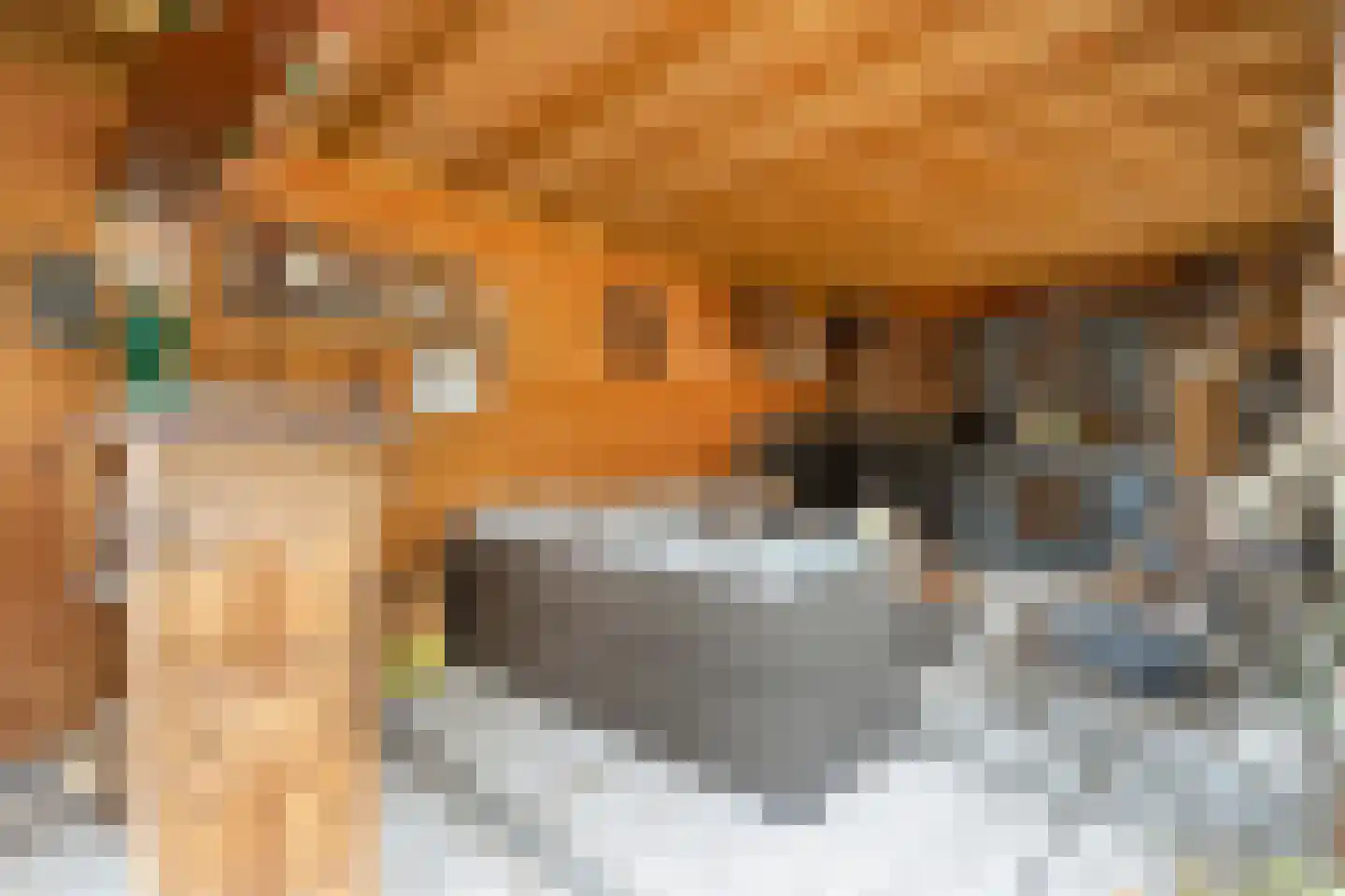 Hoefblad 44 Nieuwleusen thumbnail 55