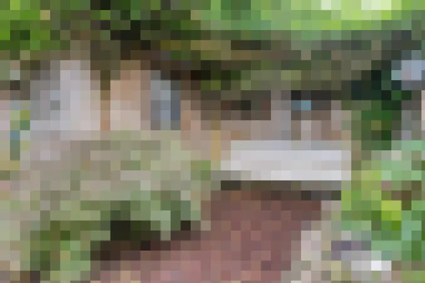 Hoefblad 44 Nieuwleusen thumbnail 61