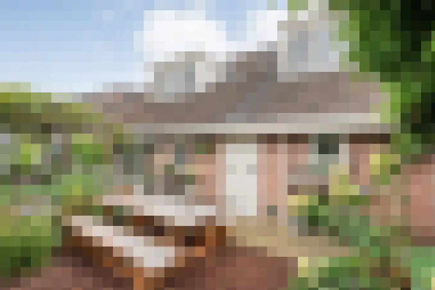 Hoefblad 44 Nieuwleusen thumbnail 63