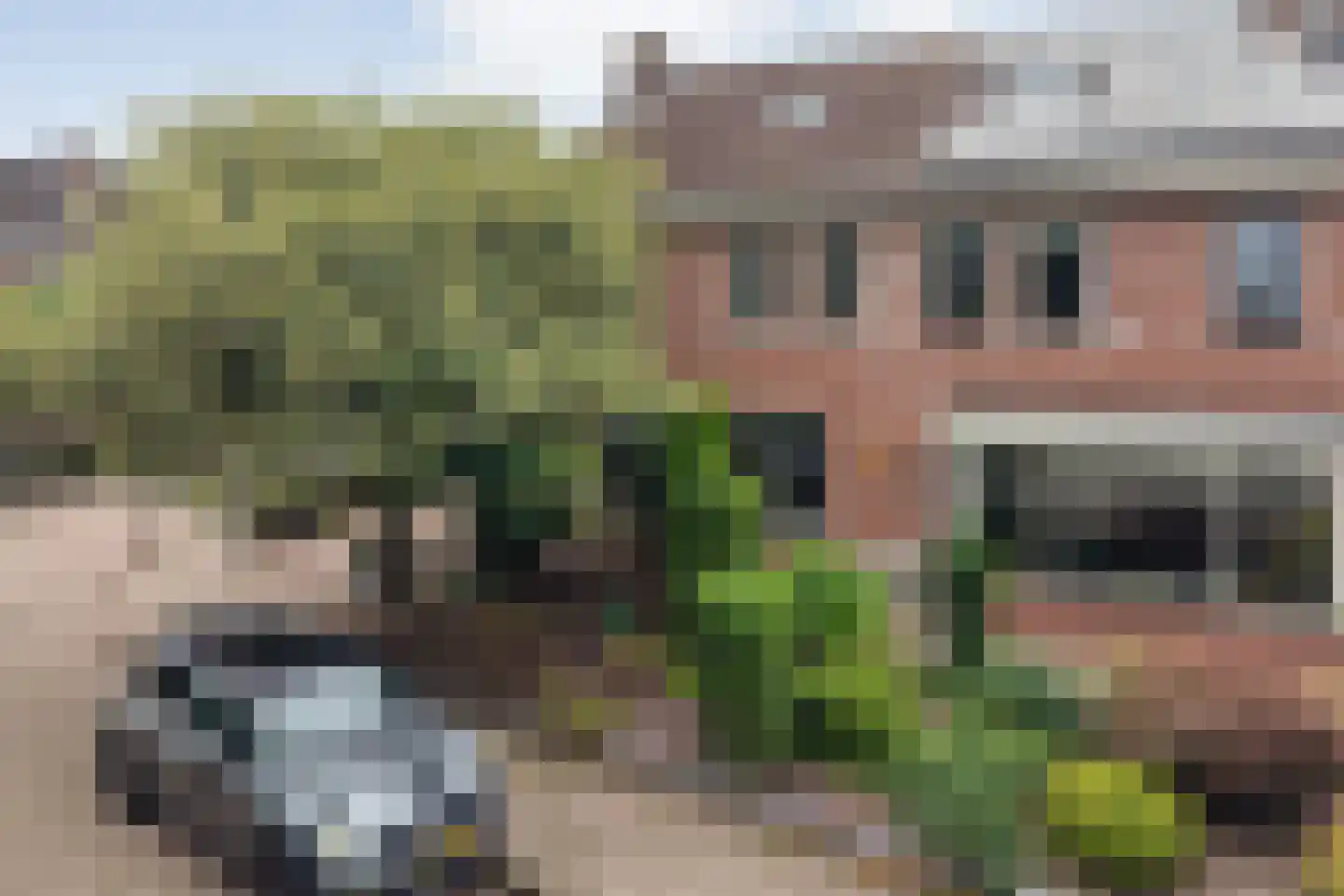 Hoefblad 44 Nieuwleusen thumbnail 65