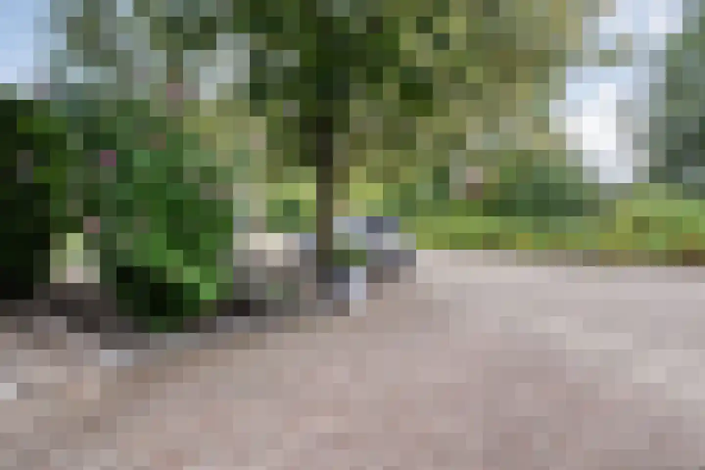 Hoefblad 44 Nieuwleusen thumbnail 68