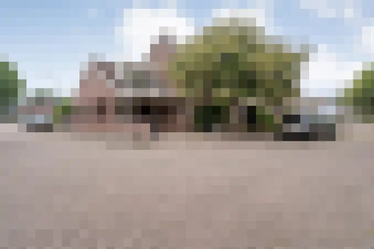 Hoefblad 44 Nieuwleusen thumbnail 69