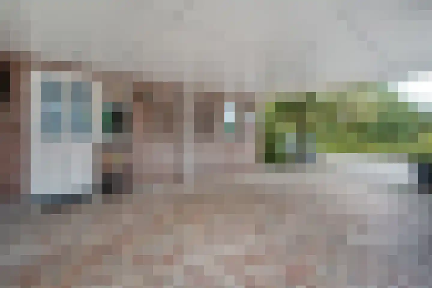 Hoefblad 44 Nieuwleusen thumbnail 7