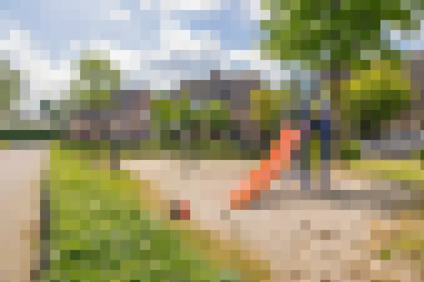 Hoefblad 46 Hapert thumbnail 44