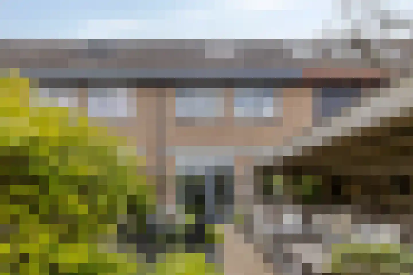 Hoefblad 46 Leidschendam thumbnail 12