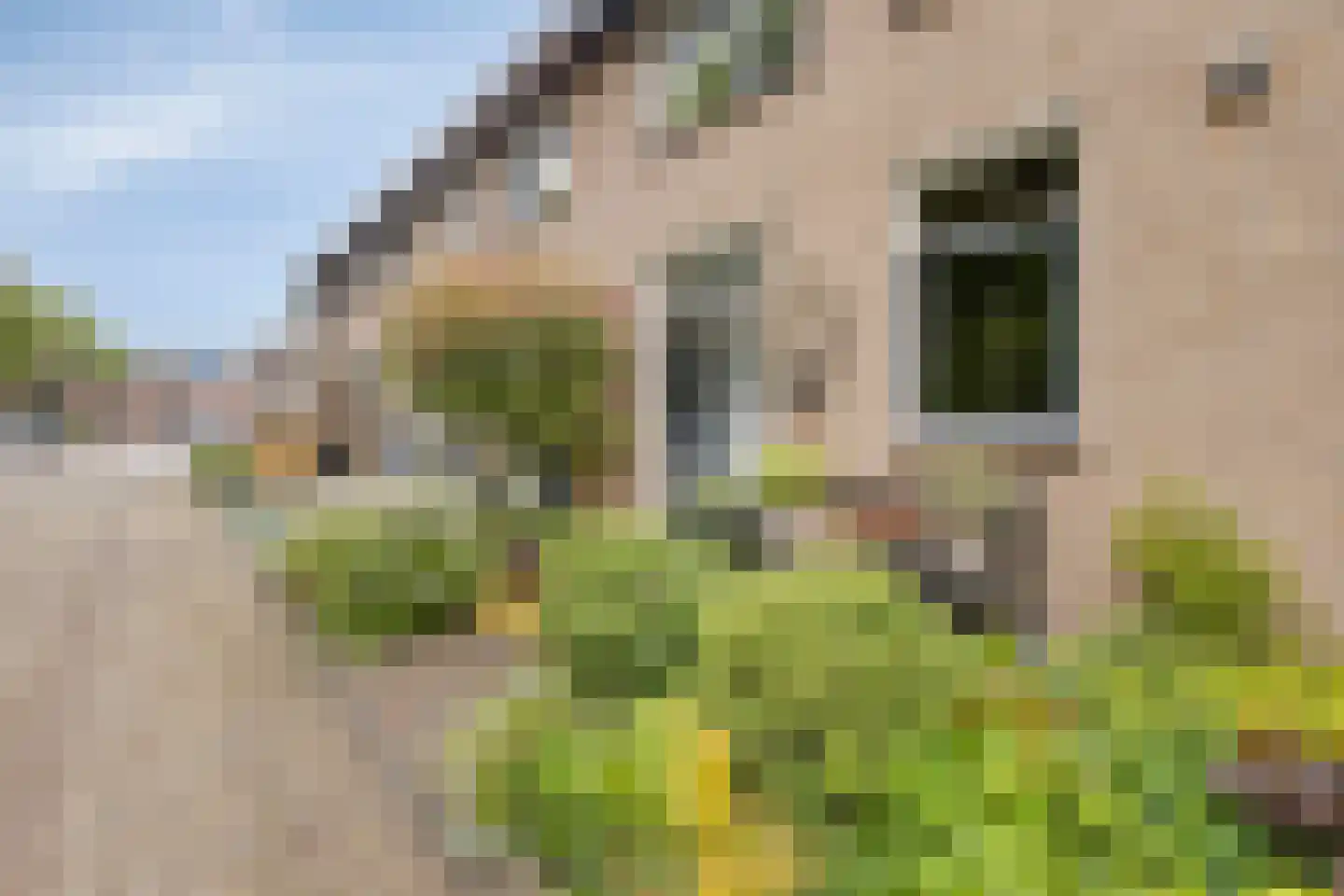 Hoefblad 46 Leidschendam thumbnail 6
