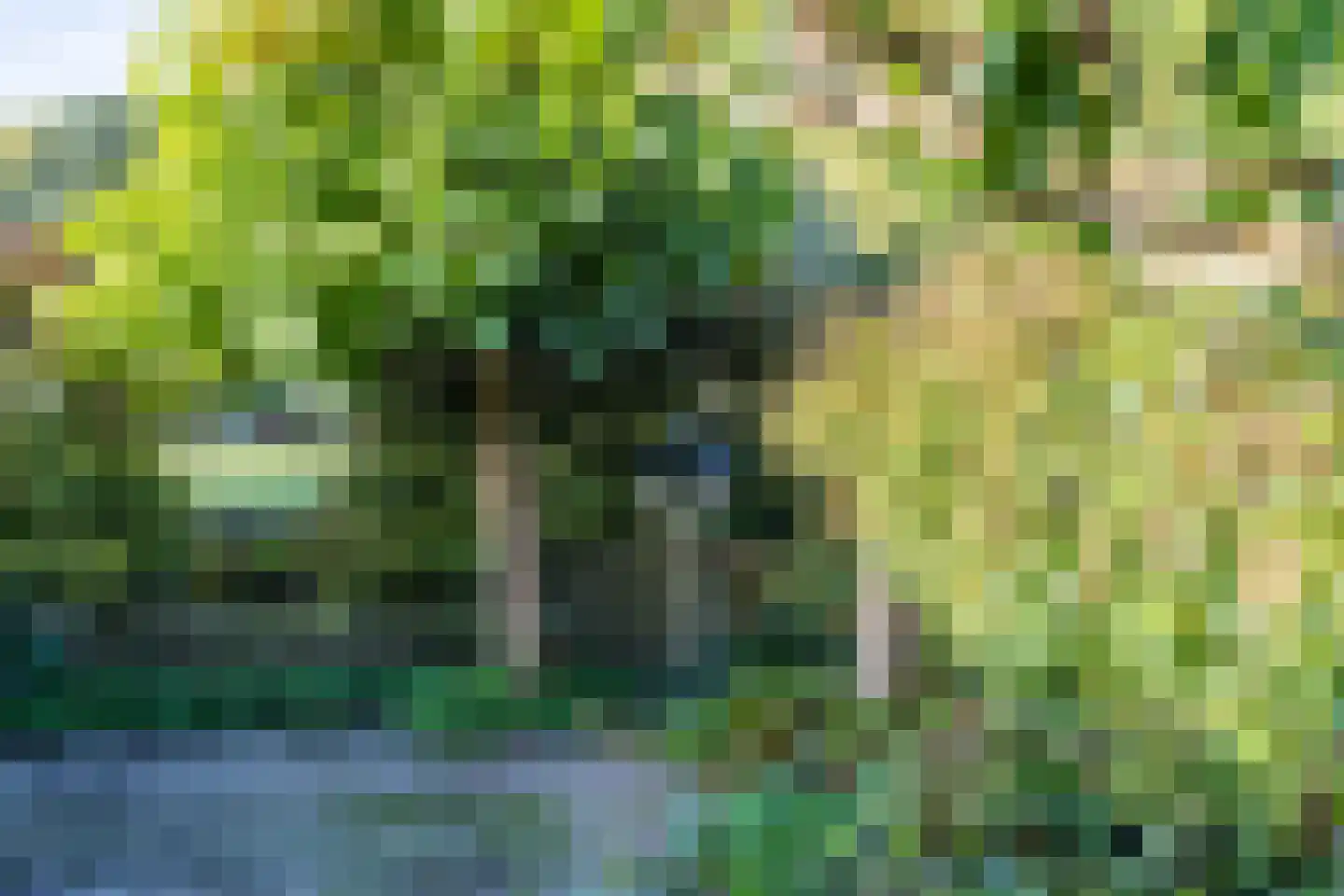 Hoefblad 53 Culemborg thumbnail 36