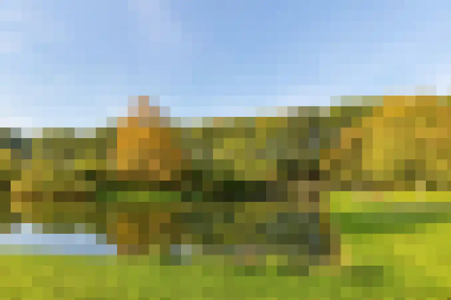 Hoefblad 53 Culemborg thumbnail 42