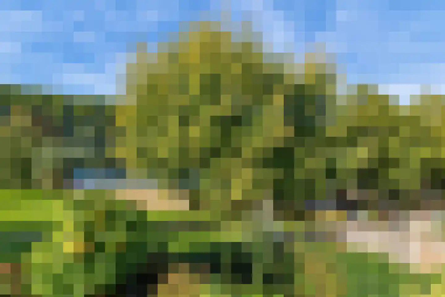 Hoefblad 53 Culemborg thumbnail 43