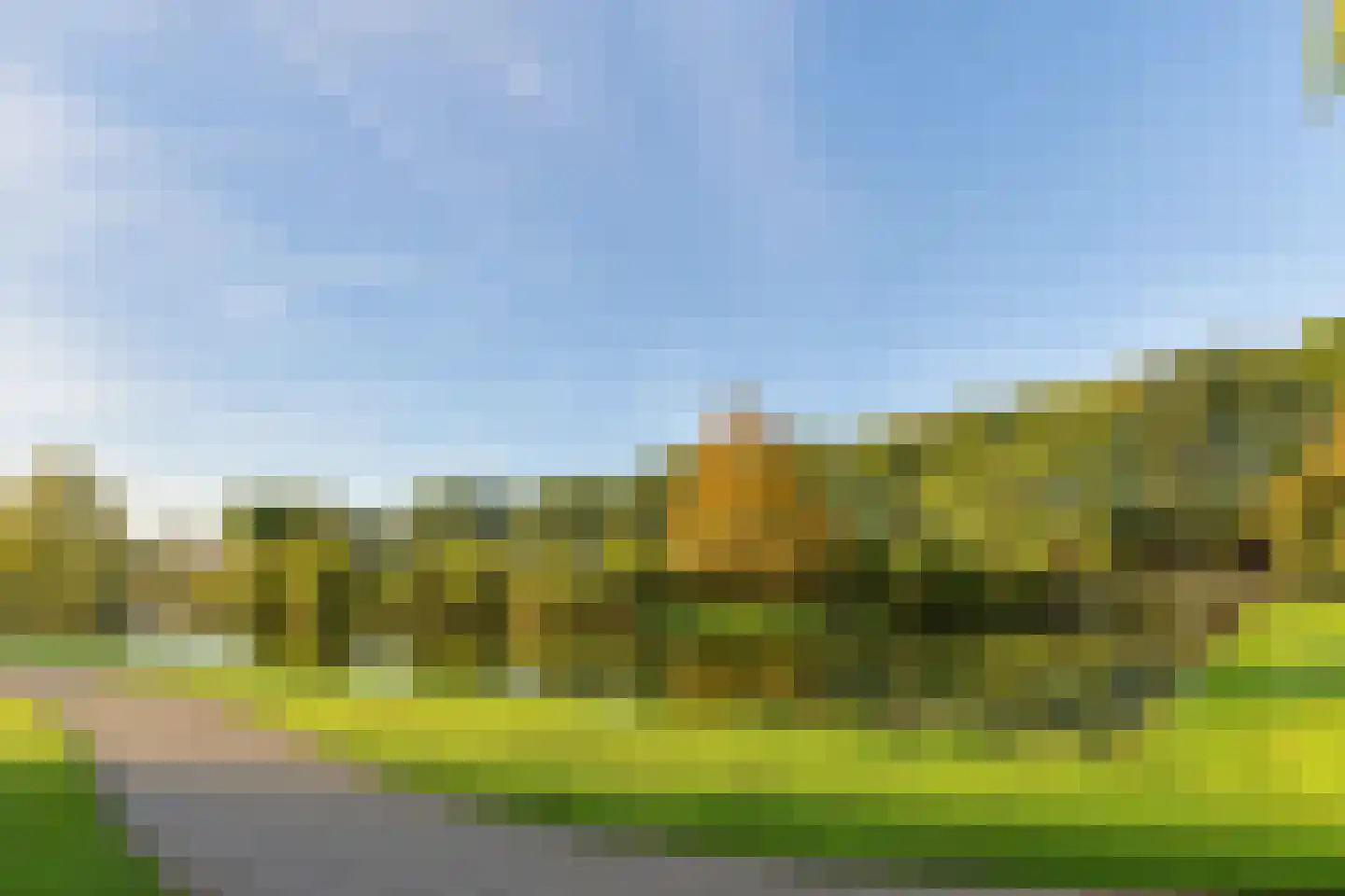 Hoefblad 53 Culemborg thumbnail 5