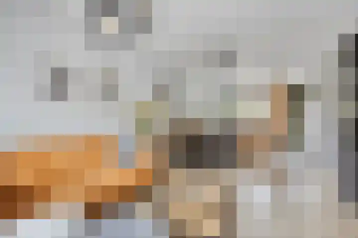 Hoefblad 53 Zwaag thumbnail 6