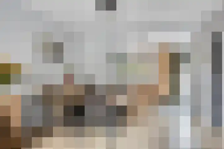 Hoefblad 53 Zwaag thumbnail 7