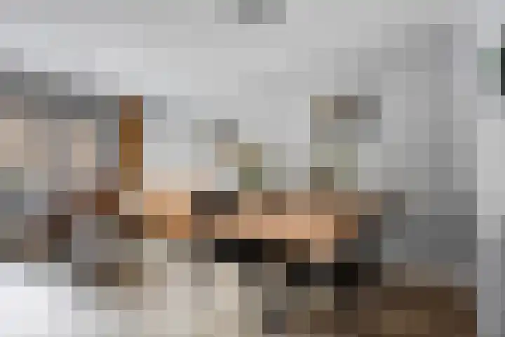 Hoefblad 53 Zwaag thumbnail 8