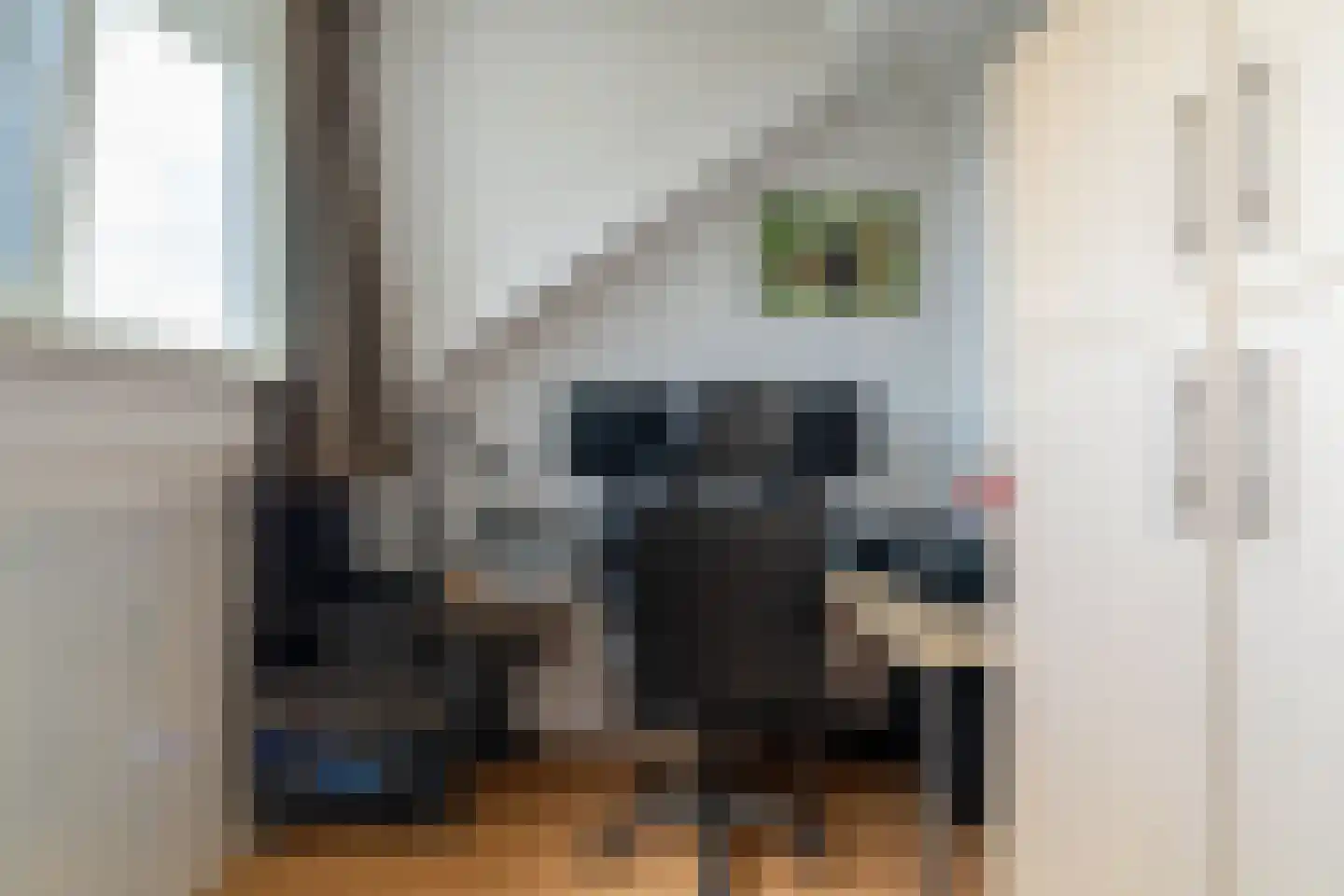 Hoefblad 56 Best thumbnail 27