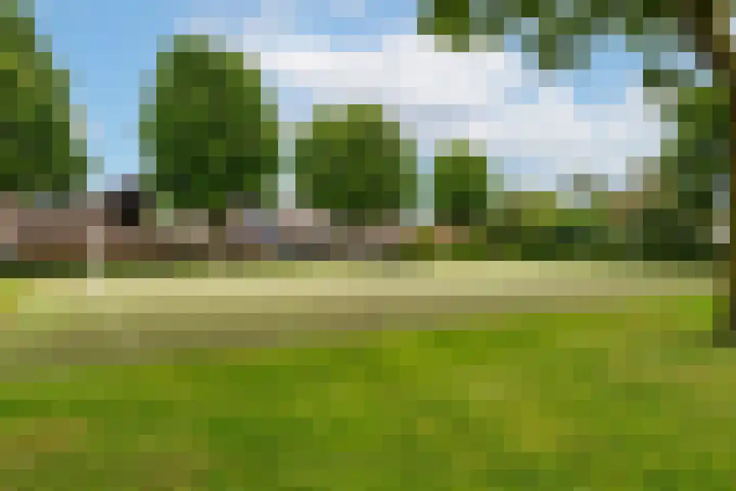 Hoefblad 56 Best thumbnail 34