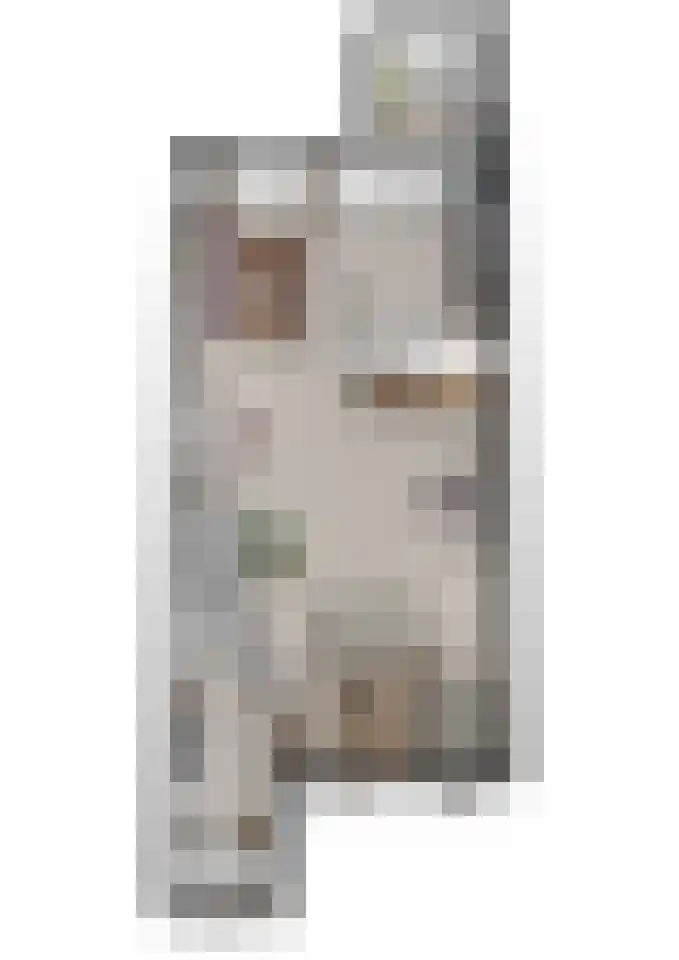 Hoefblad 56 Best thumbnail 36