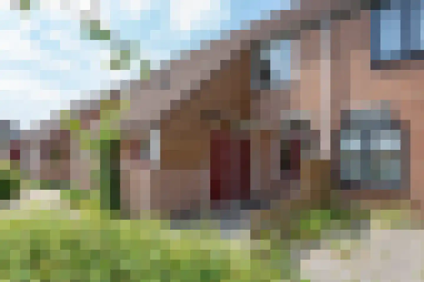 Hoefblad 6 Purmerend thumbnail 4