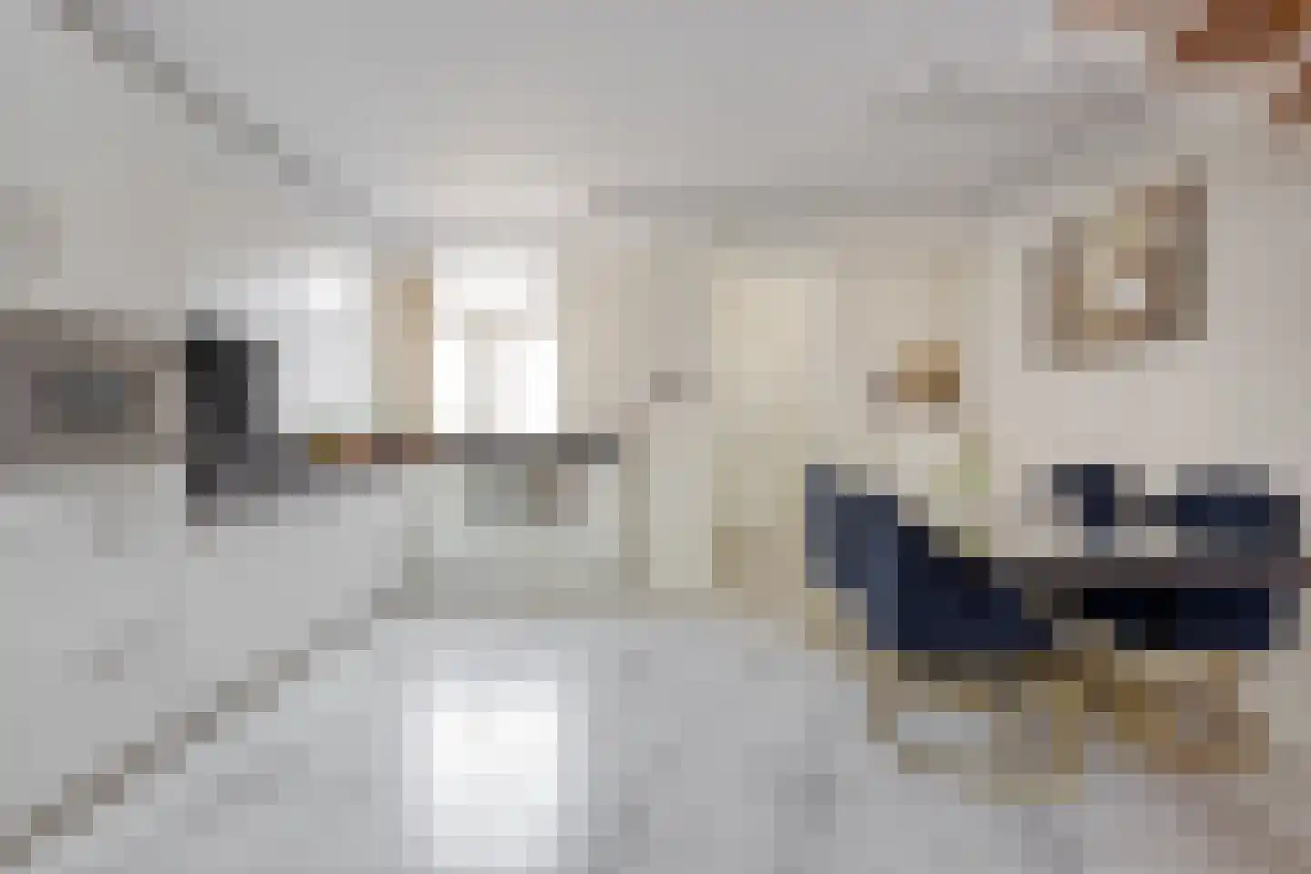 Hoefblad 6 Purmerend thumbnail 7