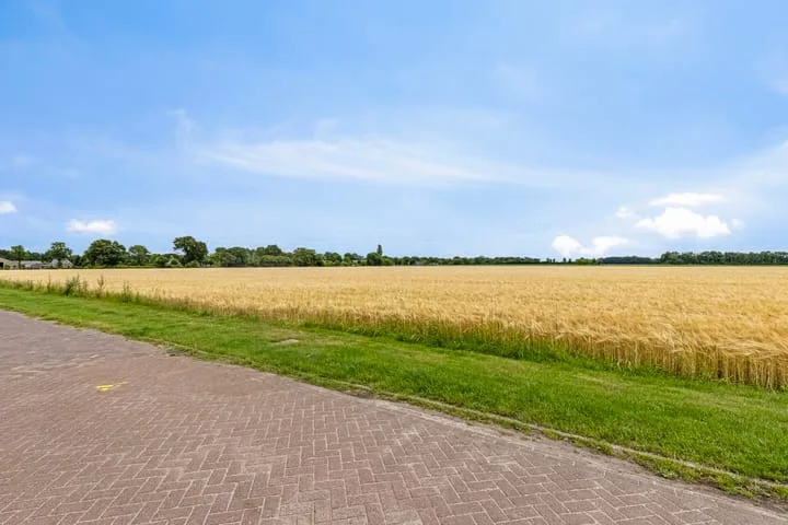 Hoefblad 7 Gieten thumbnail 49