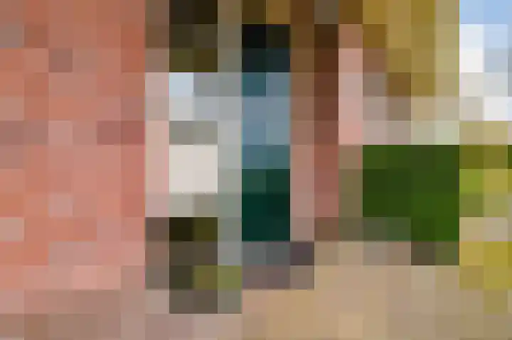 Hoefblad 7 Heerenveen thumbnail 10