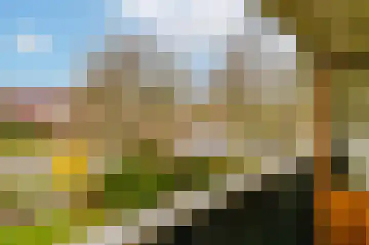 Hoefblad 7 Heerenveen thumbnail 38