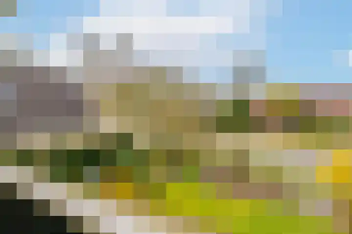 Hoefblad 7 Heerenveen thumbnail 39