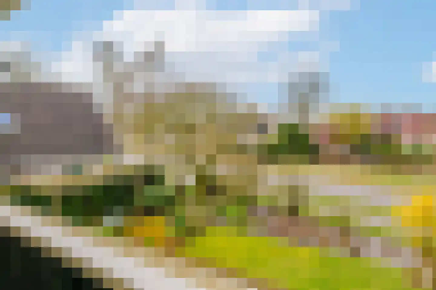 Hoefblad 7 Heerenveen thumbnail 39