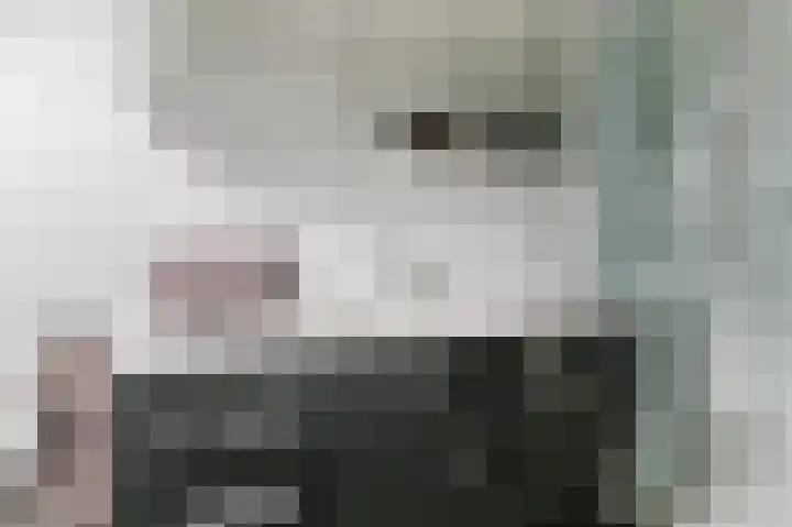 Hoefblad 7 Heerenveen thumbnail 4