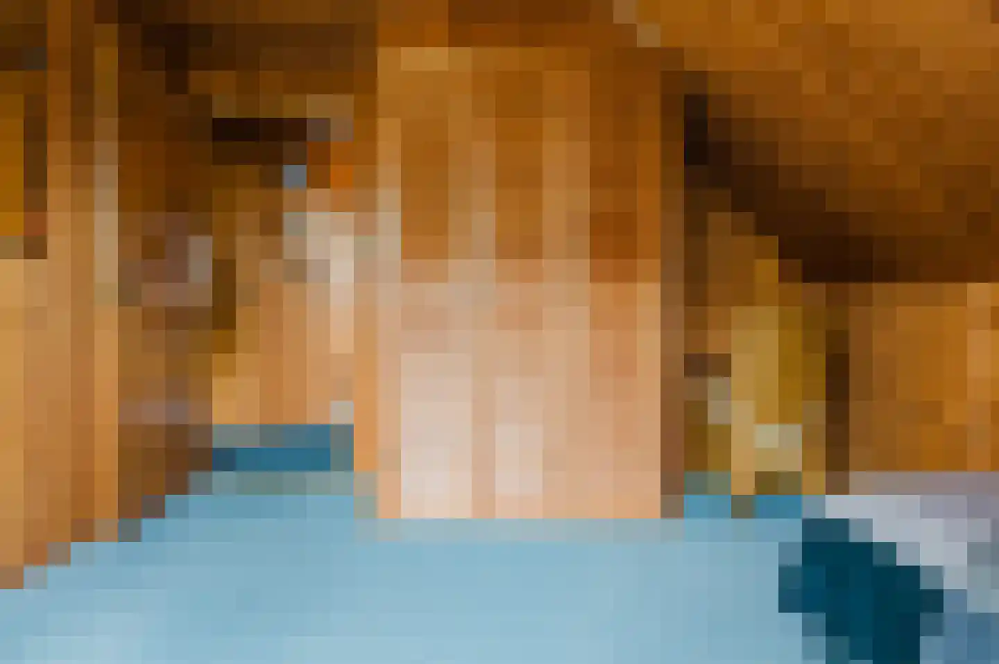 Hoefblad 7 Heerenveen thumbnail 46
