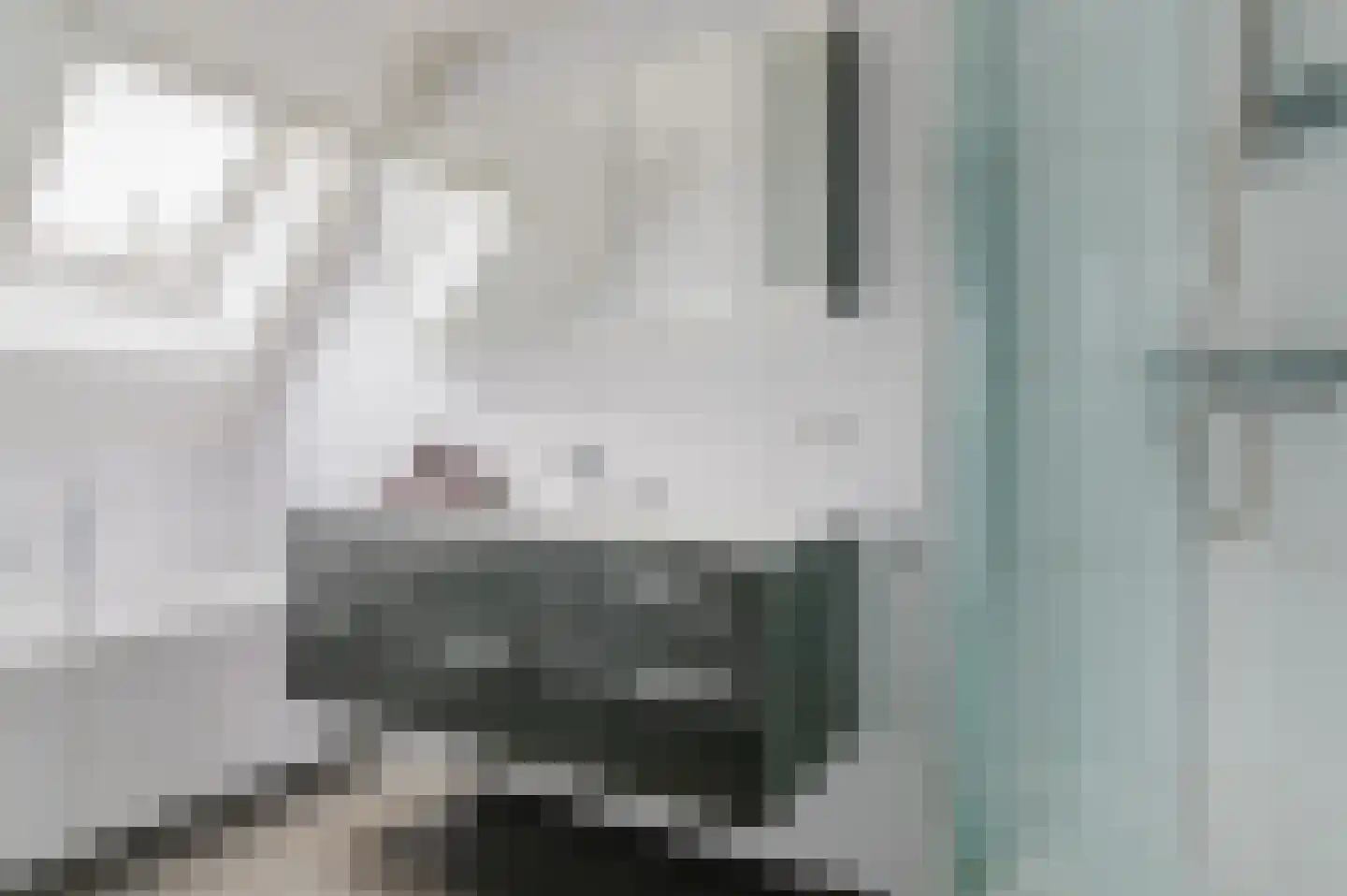 Hoefblad 7 Heerenveen thumbnail 47