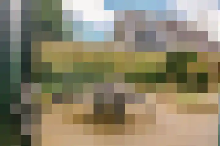 Hoefblad 7 Heerenveen thumbnail 49