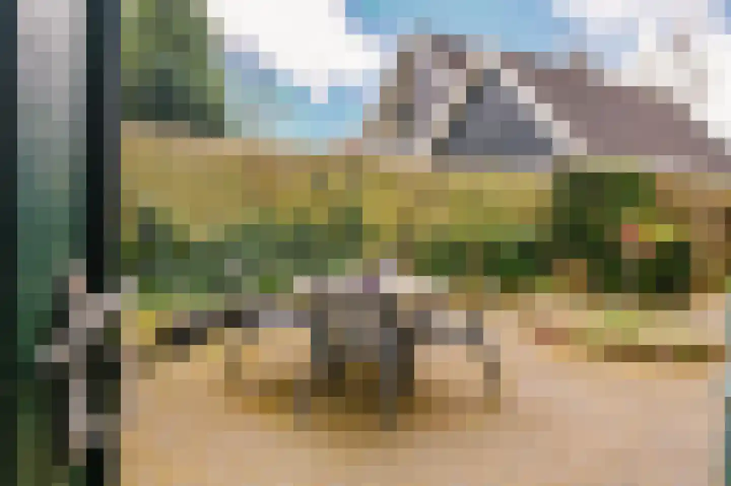 Hoefblad 7 Heerenveen thumbnail 49