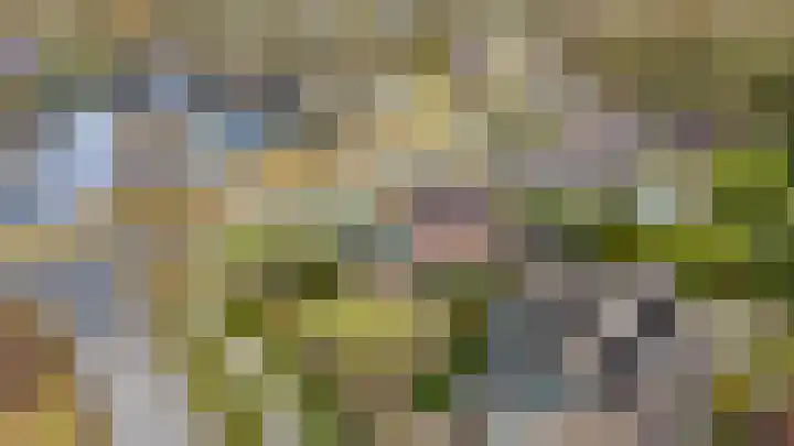 Hoefblad 7 Heerenveen thumbnail 5
