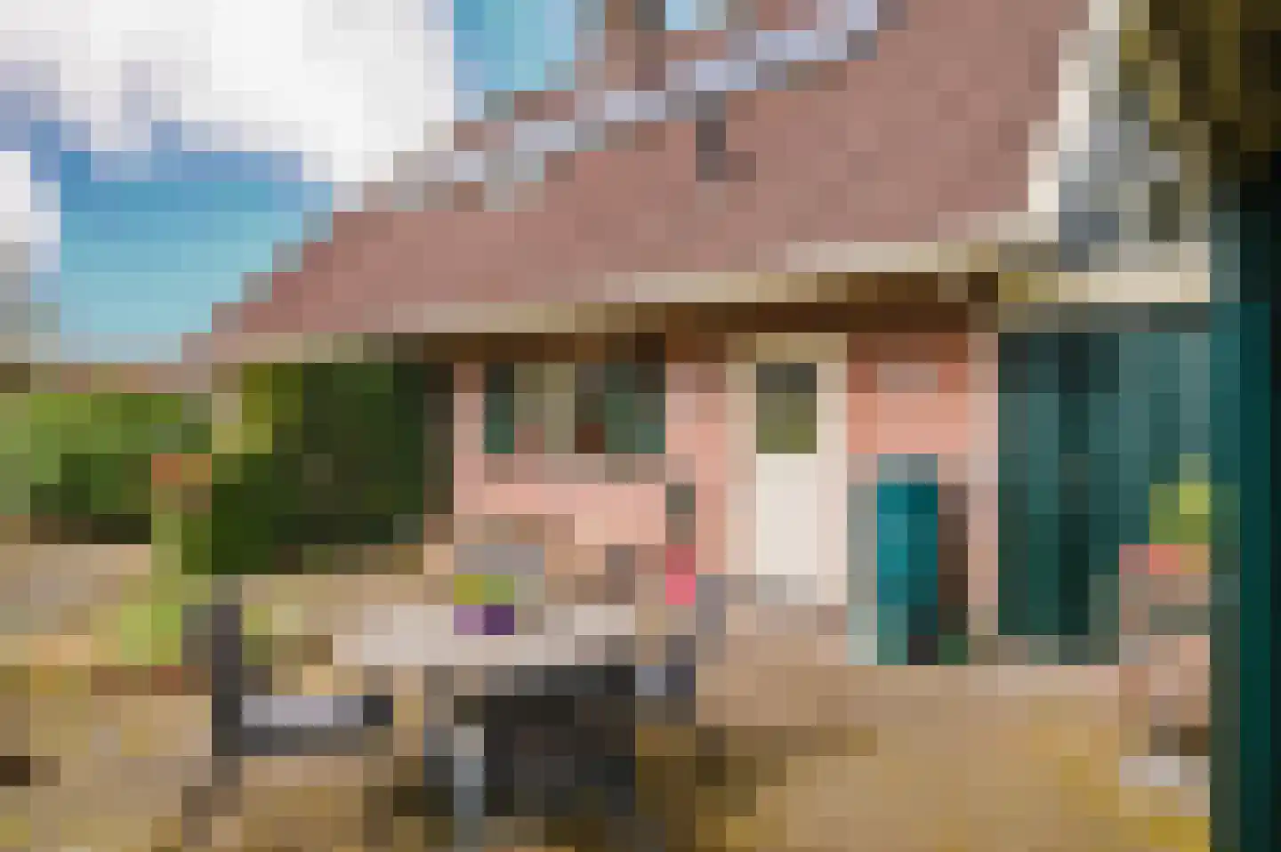 Hoefblad 7 Heerenveen thumbnail 51