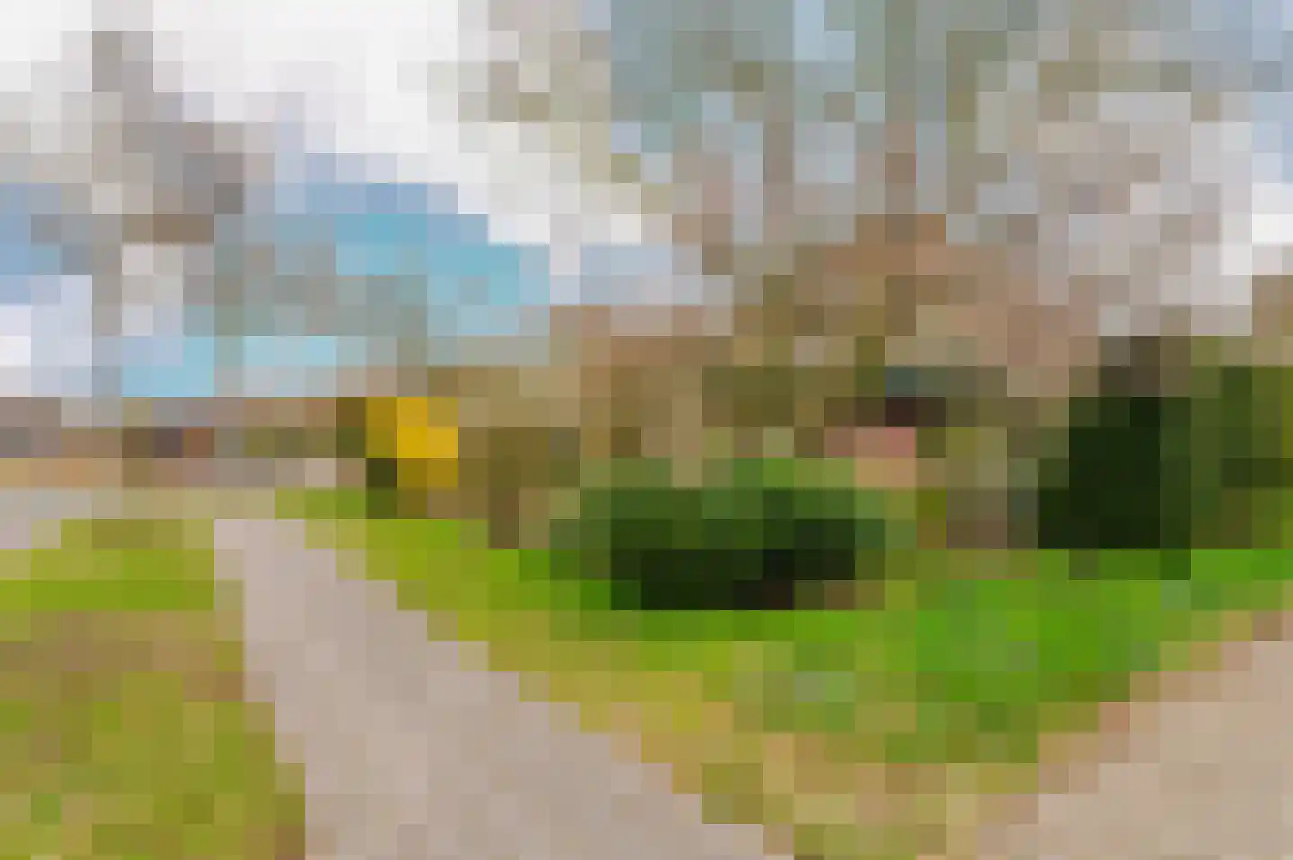 Hoefblad 7 Heerenveen thumbnail 56