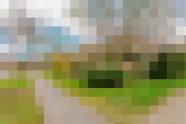 Hoefblad 7 Heerenveen thumbnail 56