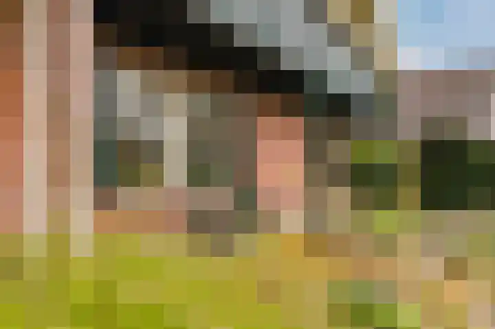 Hoefblad 7 Heerenveen thumbnail 58