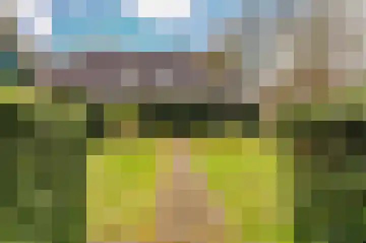 Hoefblad 7 Heerenveen thumbnail 59