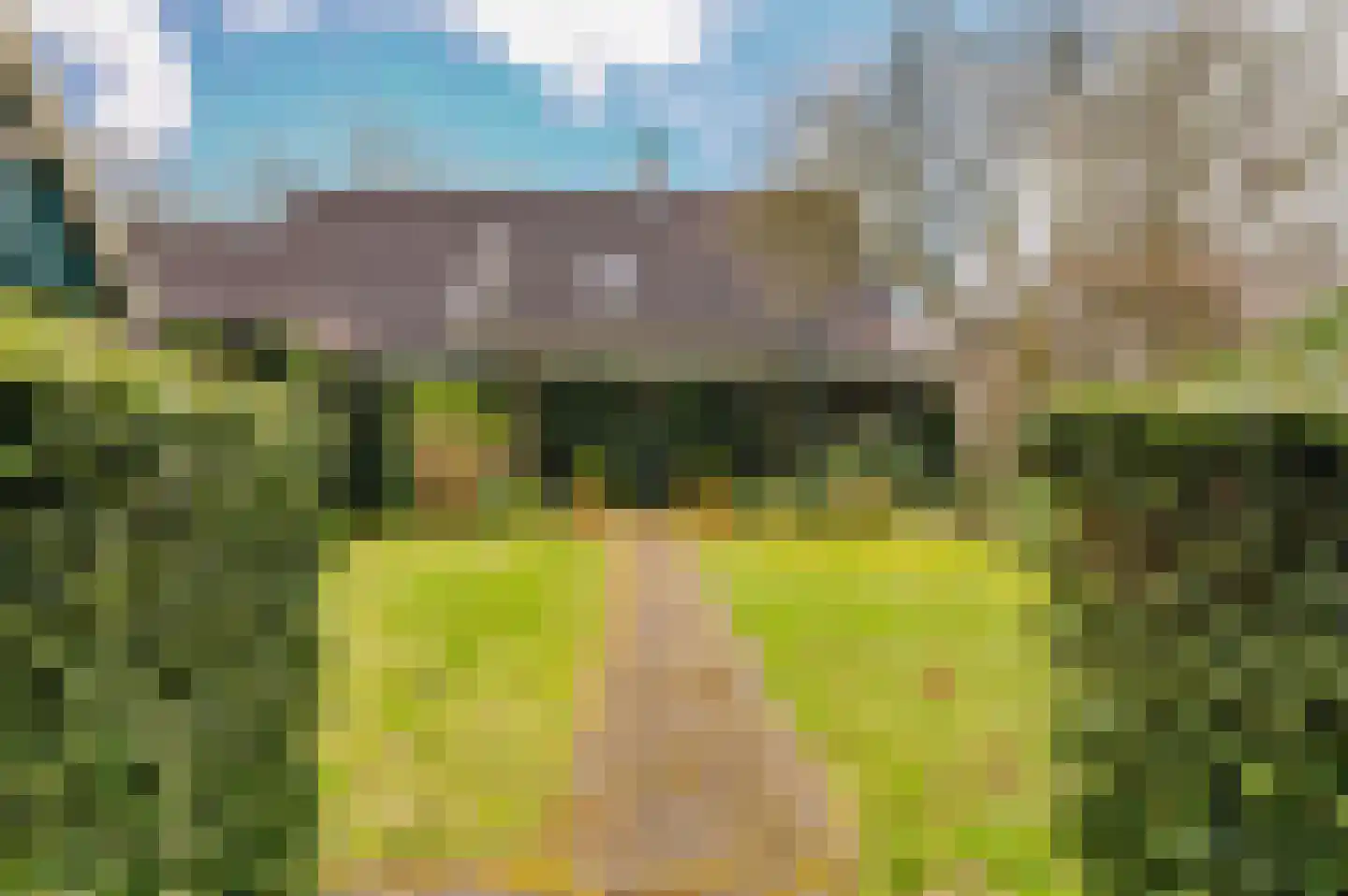 Hoefblad 7 Heerenveen thumbnail 59