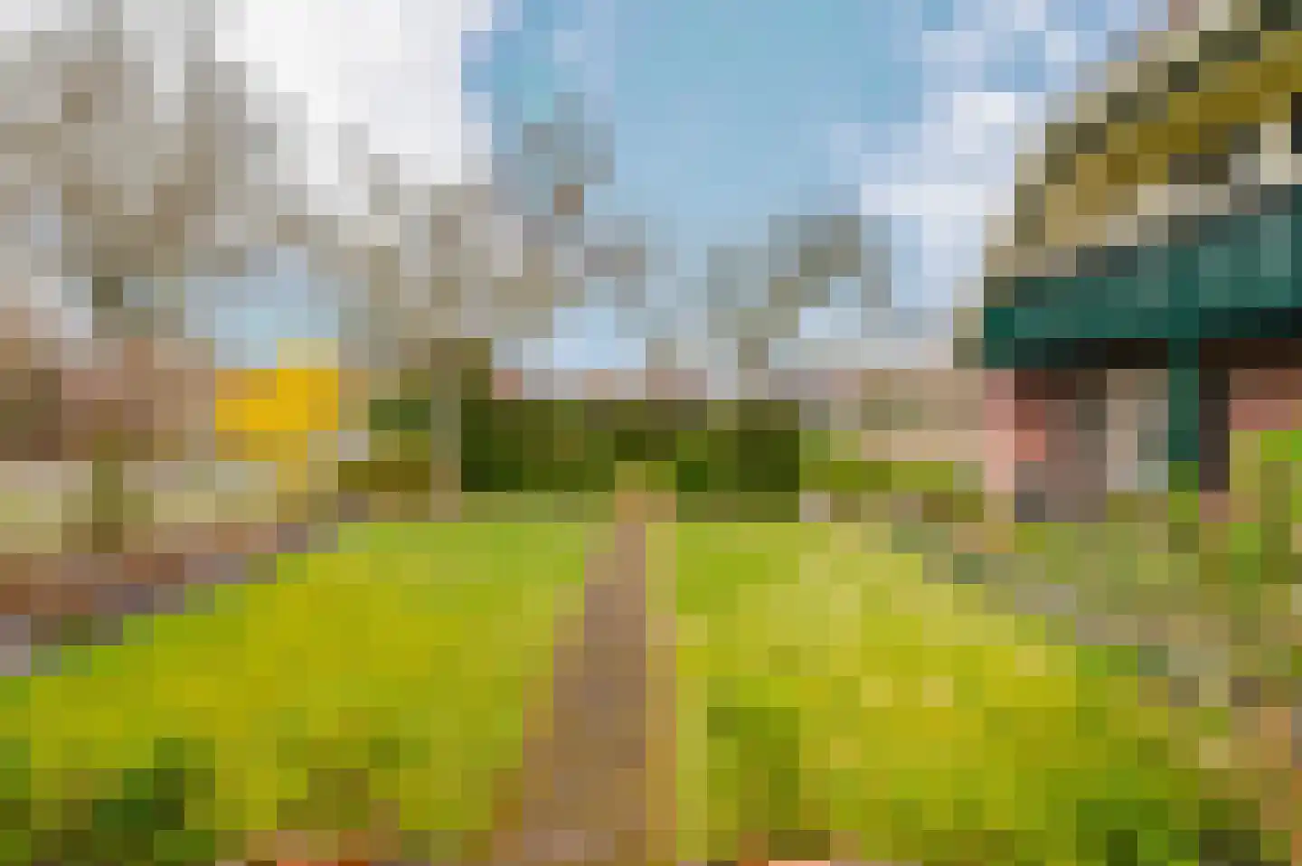 Hoefblad 7 Heerenveen thumbnail 60