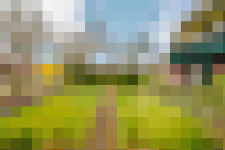 Hoefblad 7 Heerenveen thumbnail 60