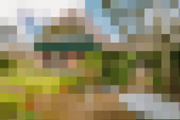 Hoefblad 7 Heerenveen thumbnail 61