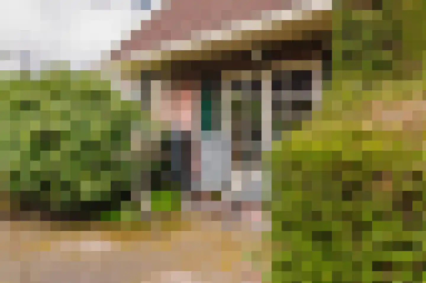 Hoefblad 7 Heerenveen thumbnail 62